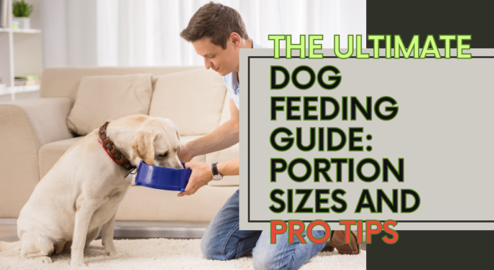Dog Feeding Guide: Optimal Portions & Tips